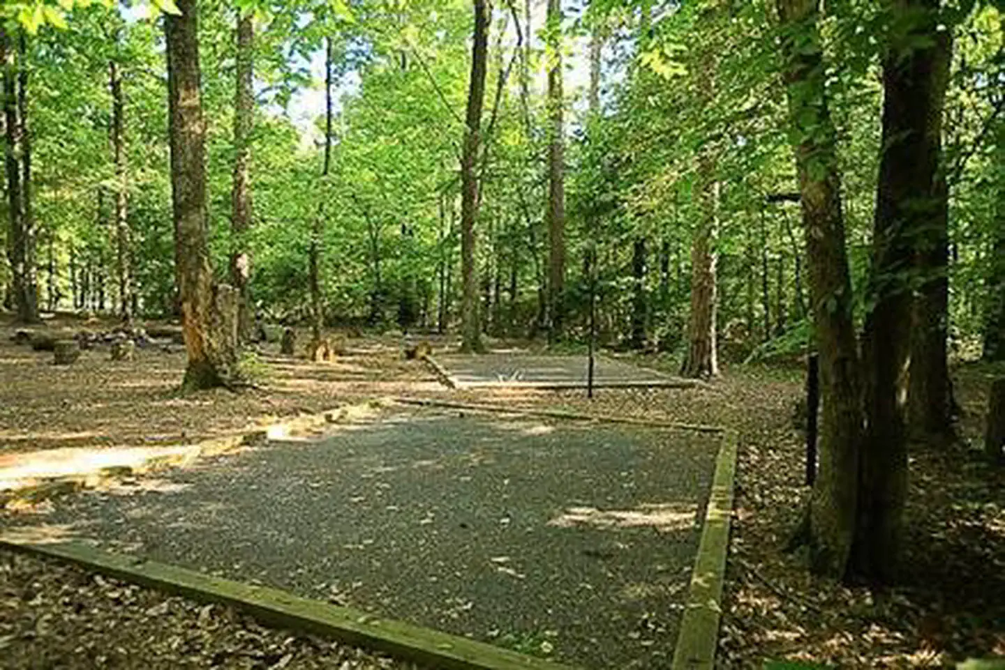 BADIN LAKE GROUP CAMP photo 3