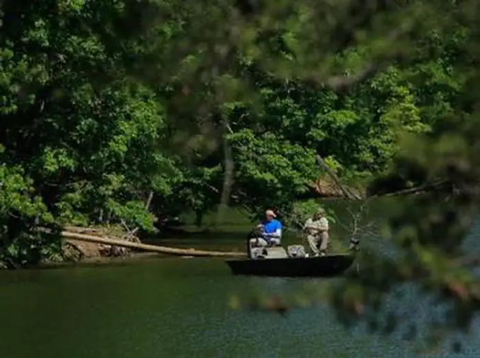 BADIN LAKE GROUP CAMP photo 4