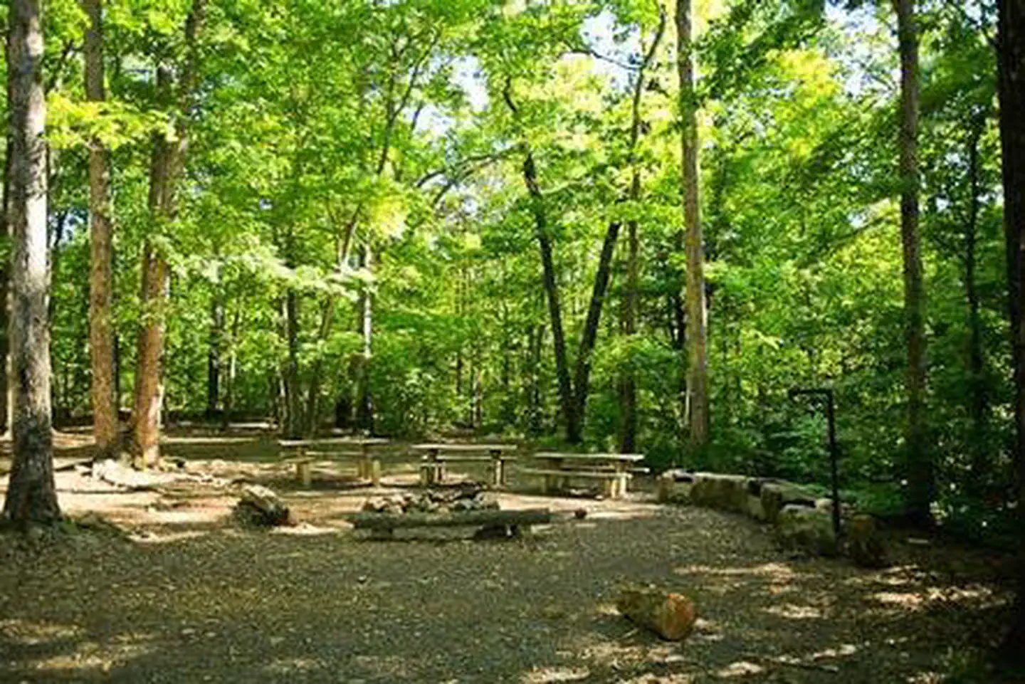 BADIN LAKE GROUP CAMP photo 5
