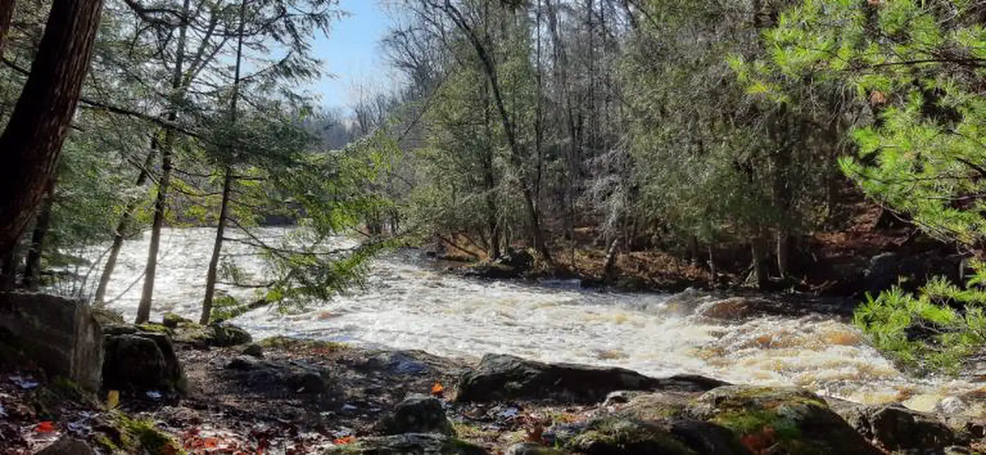 Bagley Rapids Campground photo 3