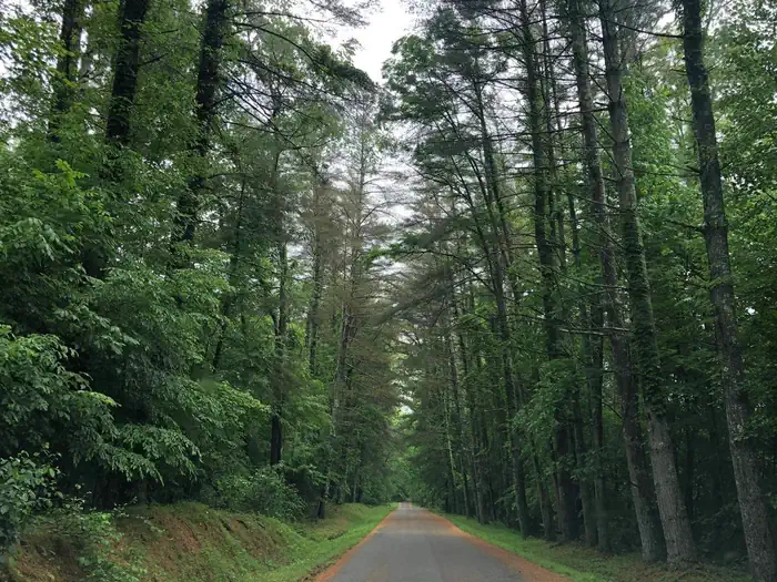 Bakers Run Campground photo 2