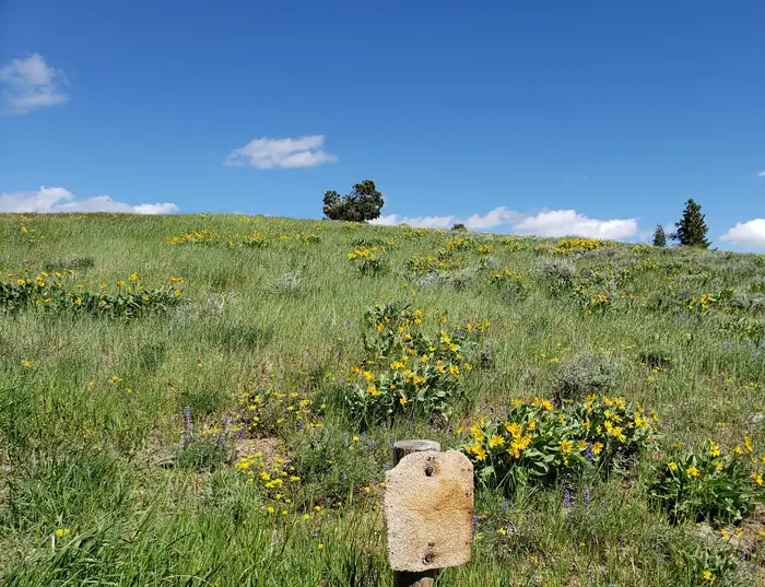 Bald Butte Lookout (Fremont-Winema National Forest, OR) photo 5