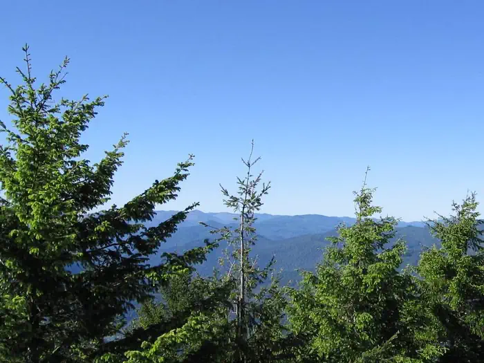 BALD KNOB LOOKOUT photo 3