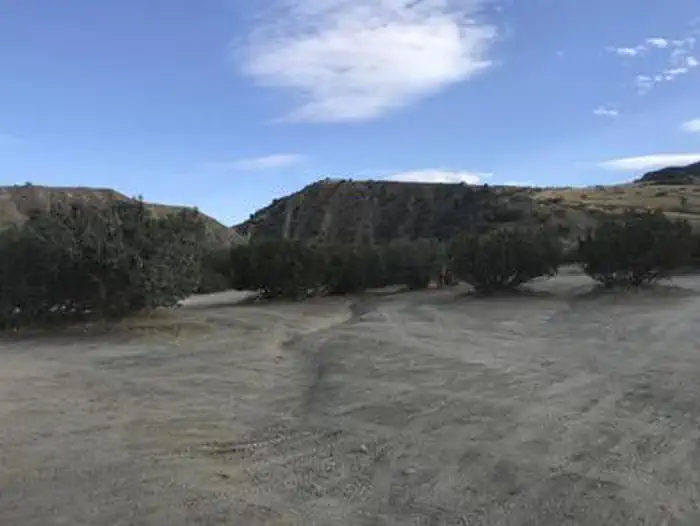 BALLINGER CAMPGROUND photo 3