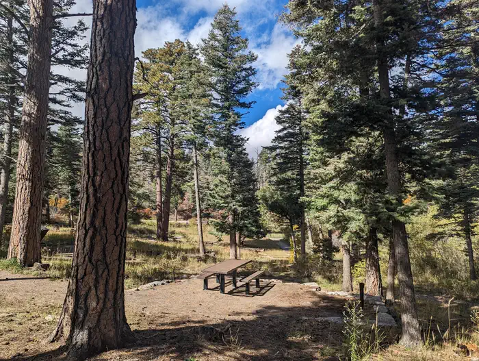 BALSAM GLADE PICNIC SITE photo 2