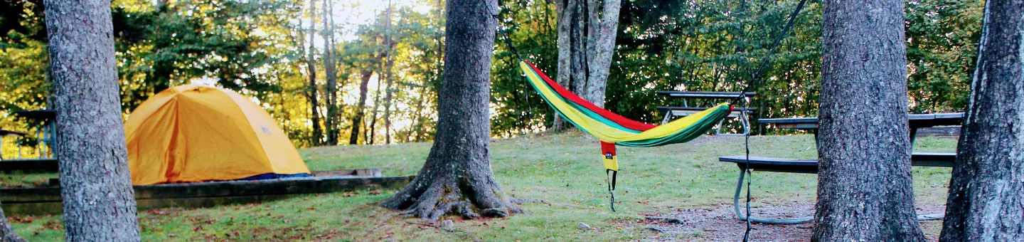 BALSAM MOUNTAIN CAMPGROUND photo