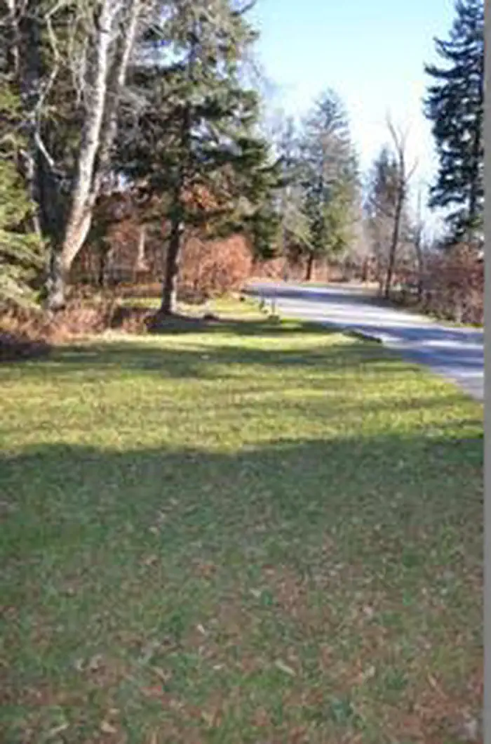 BALSAM MOUNTAIN CAMPGROUND photo 4