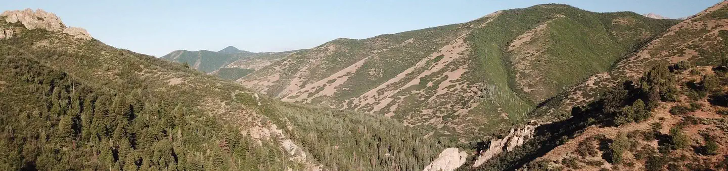 Balsam (Uinta-Wasatch-Cache National Forest, UT) photo