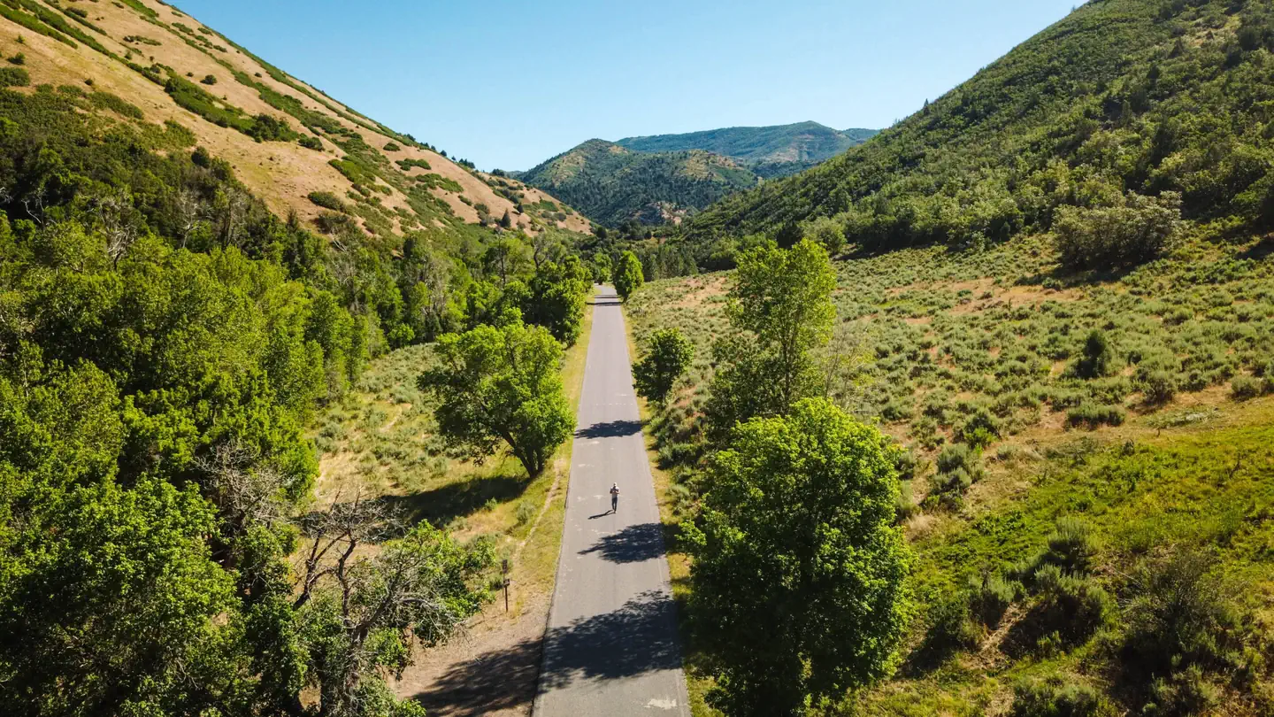 Balsam (Uinta-Wasatch-Cache National Forest, UT) photo 2