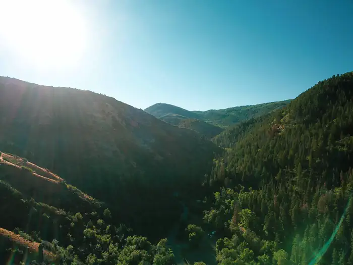 Balsam (Uinta-Wasatch-Cache National Forest, UT) photo 3