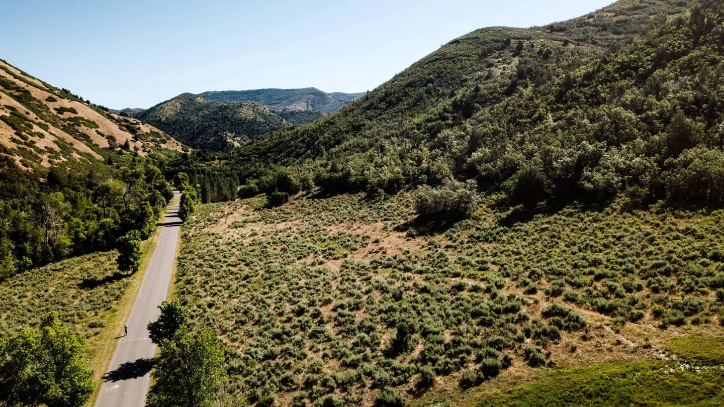 Balsam (Uinta-Wasatch-Cache National Forest, UT) photo 5