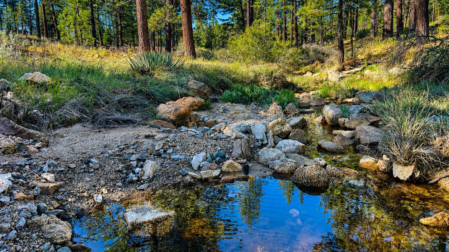 BANDIDO GROUP CAMPGROUND photo