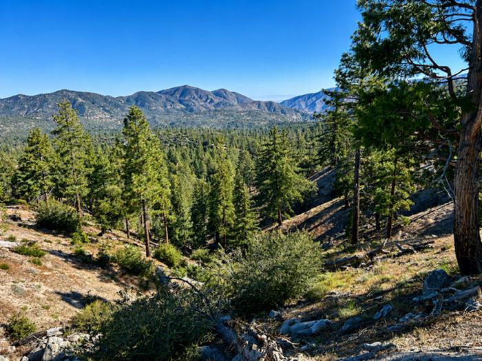 BANDIDO GROUP CAMPGROUND photo 4