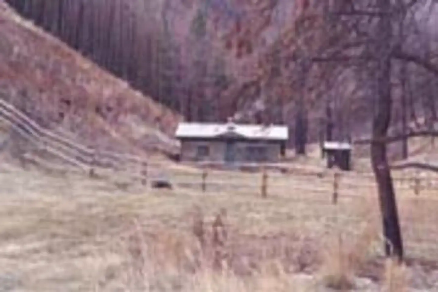 Bar Gulch Cabin photo