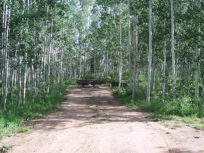BARKER RECREATION AREA photo 4