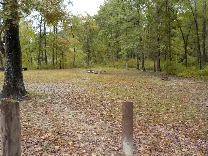Barkshed Campground photo 4