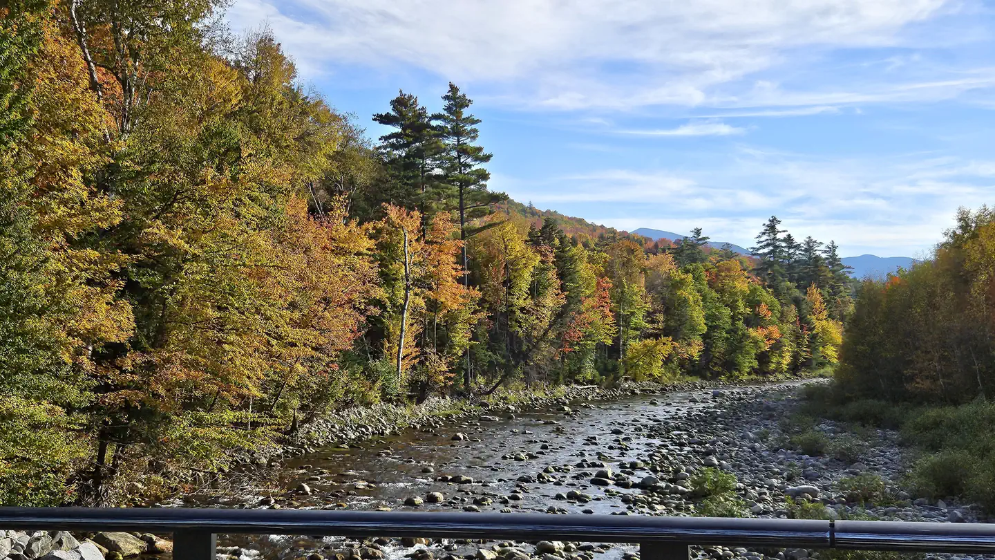 BARNES FIELD CAMPGROUND photo