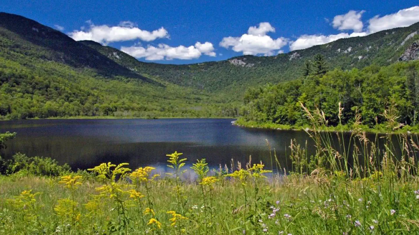 BASIN CAMPGROUND photo