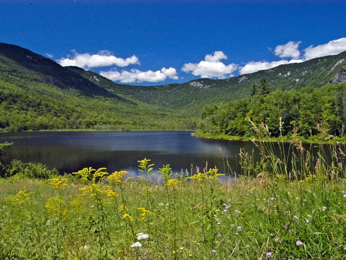 BASIN CAMPGROUND photo 2