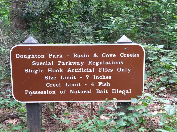 Basin Cove Backcountry Camping photo 2