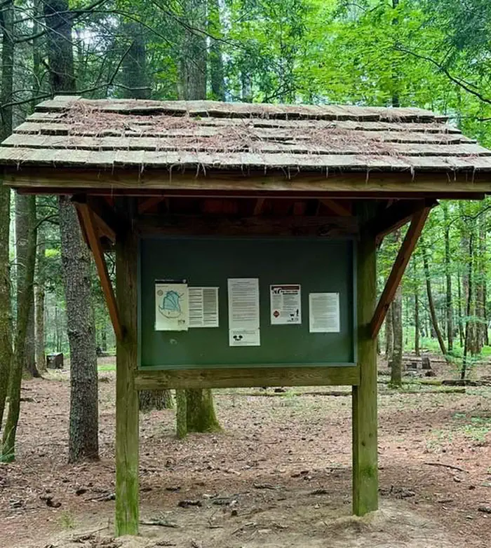 Basin Cove Backcountry Camping photo 3
