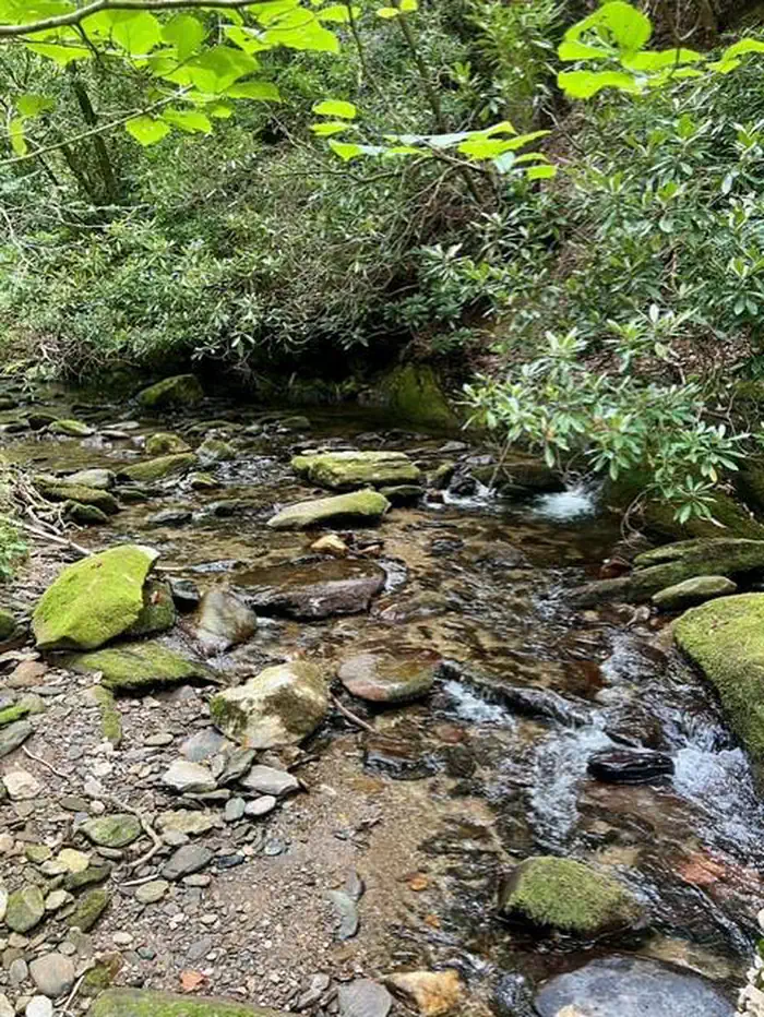 Basin Cove Backcountry Camping photo 4