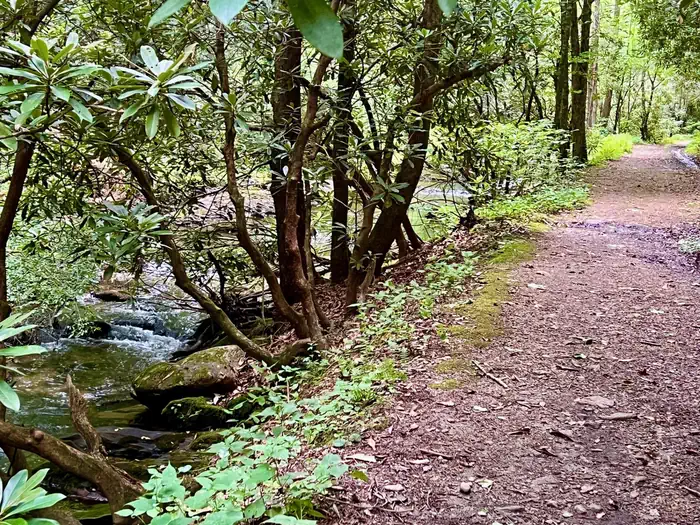 Basin Cove Backcountry Camping photo 5