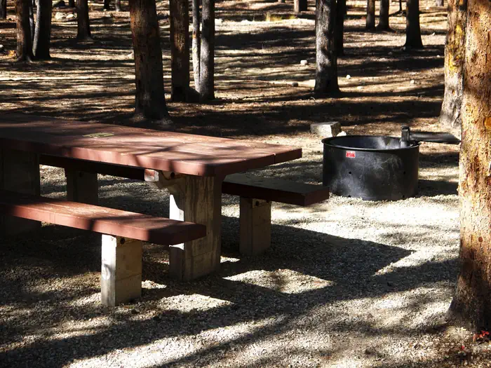 BASIN MONTANA CAMPGROUND photo 2