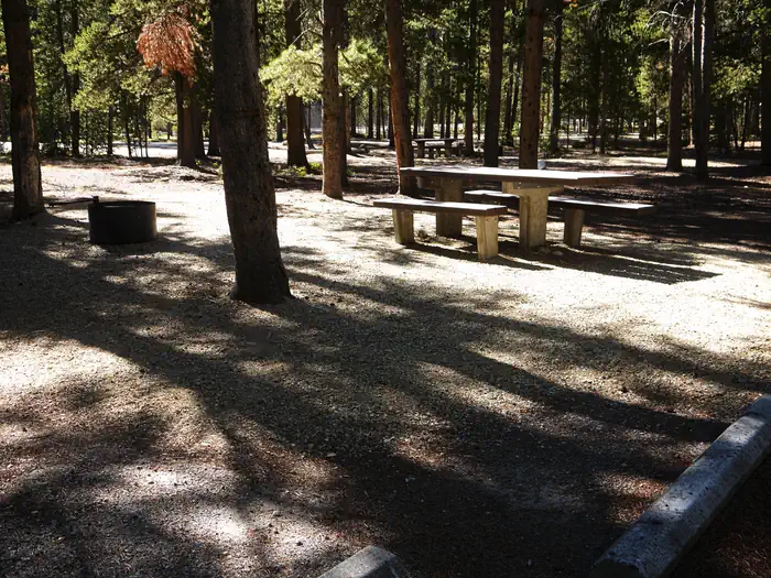 BASIN MONTANA CAMPGROUND photo 4