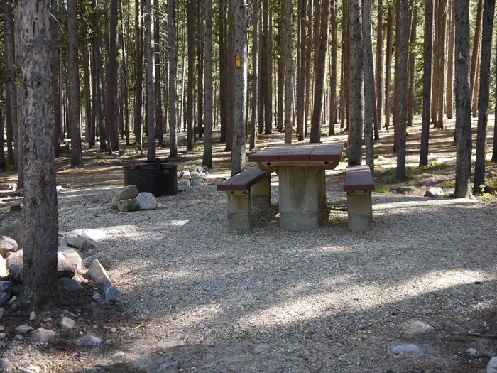 BASIN MONTANA CAMPGROUND photo 5