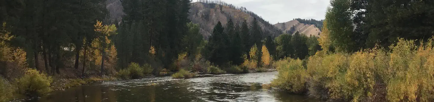 BAUMGARTNER CAMPGROUND photo