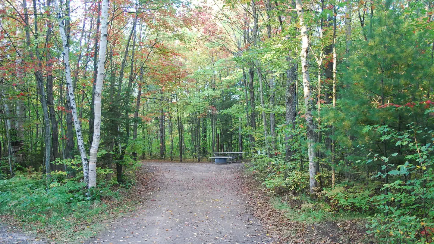 BAY FURNACE CAMPGROUND photo