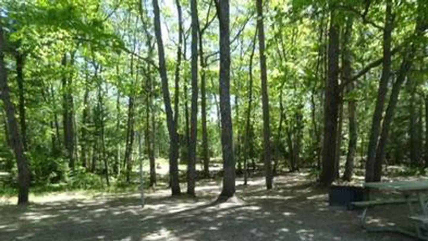 Bay View (Hiawatha National Forest, MI) photo
