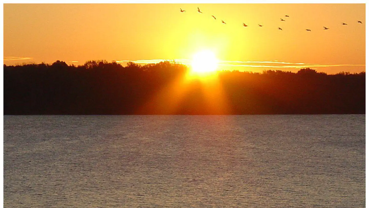 Bayou Point Day Use photo