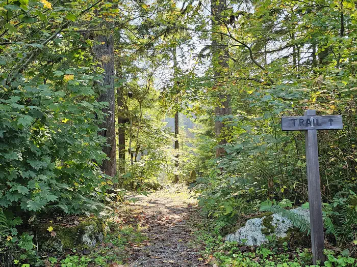 Bayview Campground (Mt. Baker-Snoqualmie National Forest, WA) photo 4