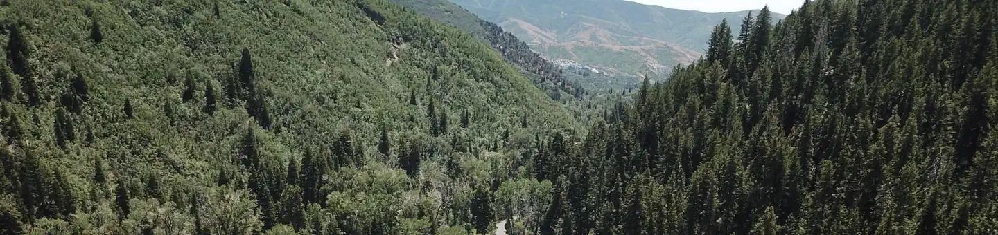 BEAR CANYON photo