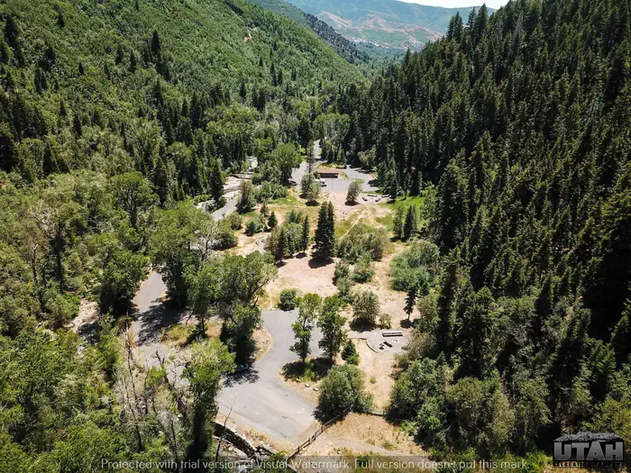 BEAR CANYON photo 4