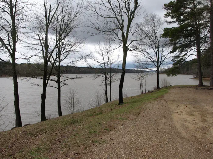 Bear Creek (AR) photo 2