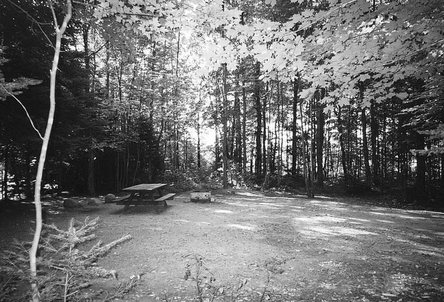 Bear Lake Campground (Chequamegon-Nicolet NF, WI) photo 2