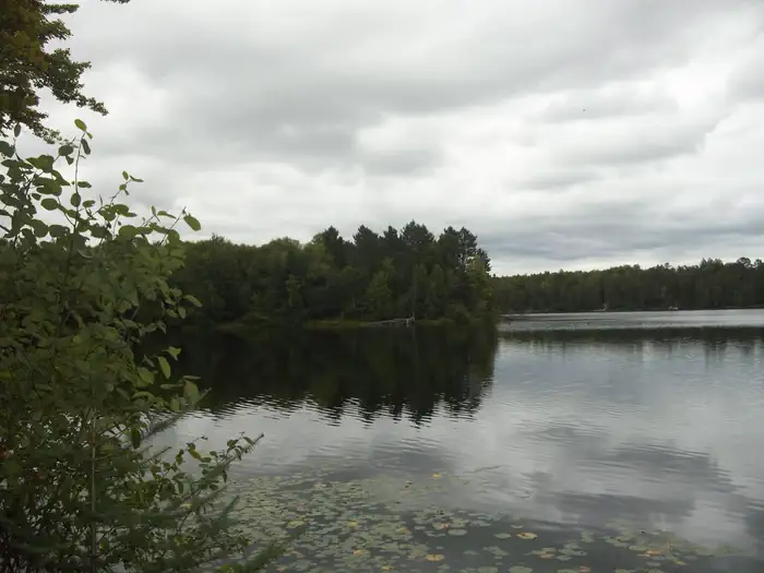 Bear Lake Campground (Chequamegon-Nicolet NF, WI) photo 3