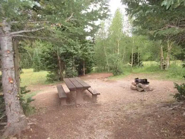 BEAR LAKE CAMPGROUND (CO) photo 2