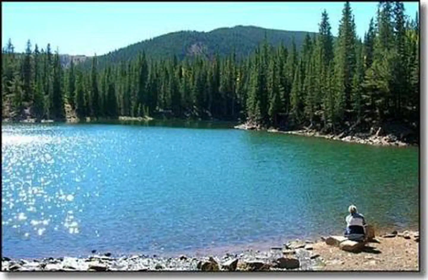 BEAR LAKE CAMPGROUND (CO) photo 4