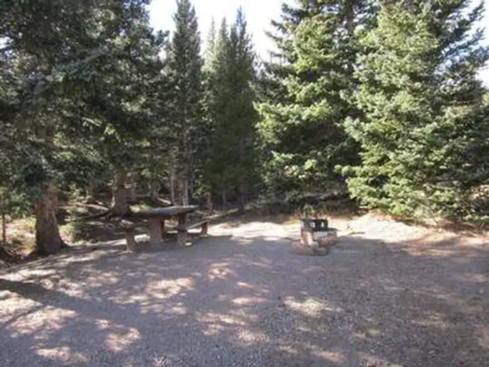 BEAR LAKE CAMPGROUND (CO) photo 5