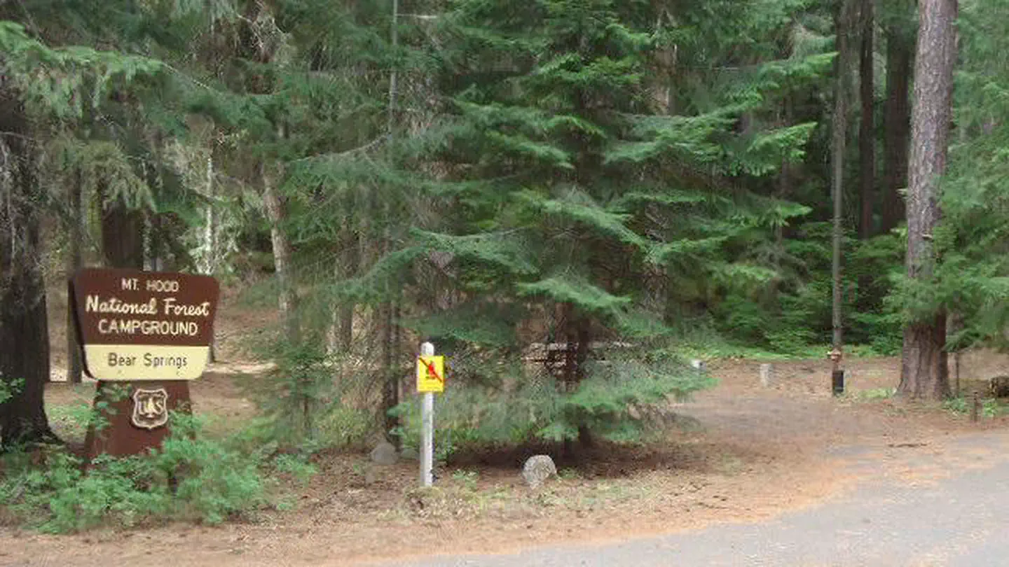 Bear Springs Campground photo