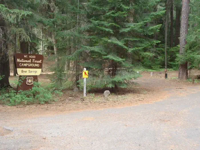 Bear Springs Campground photo 3