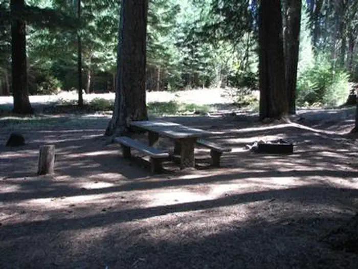 Bear Springs Campground photo 4