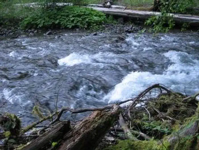 Beaver Campground photo 2