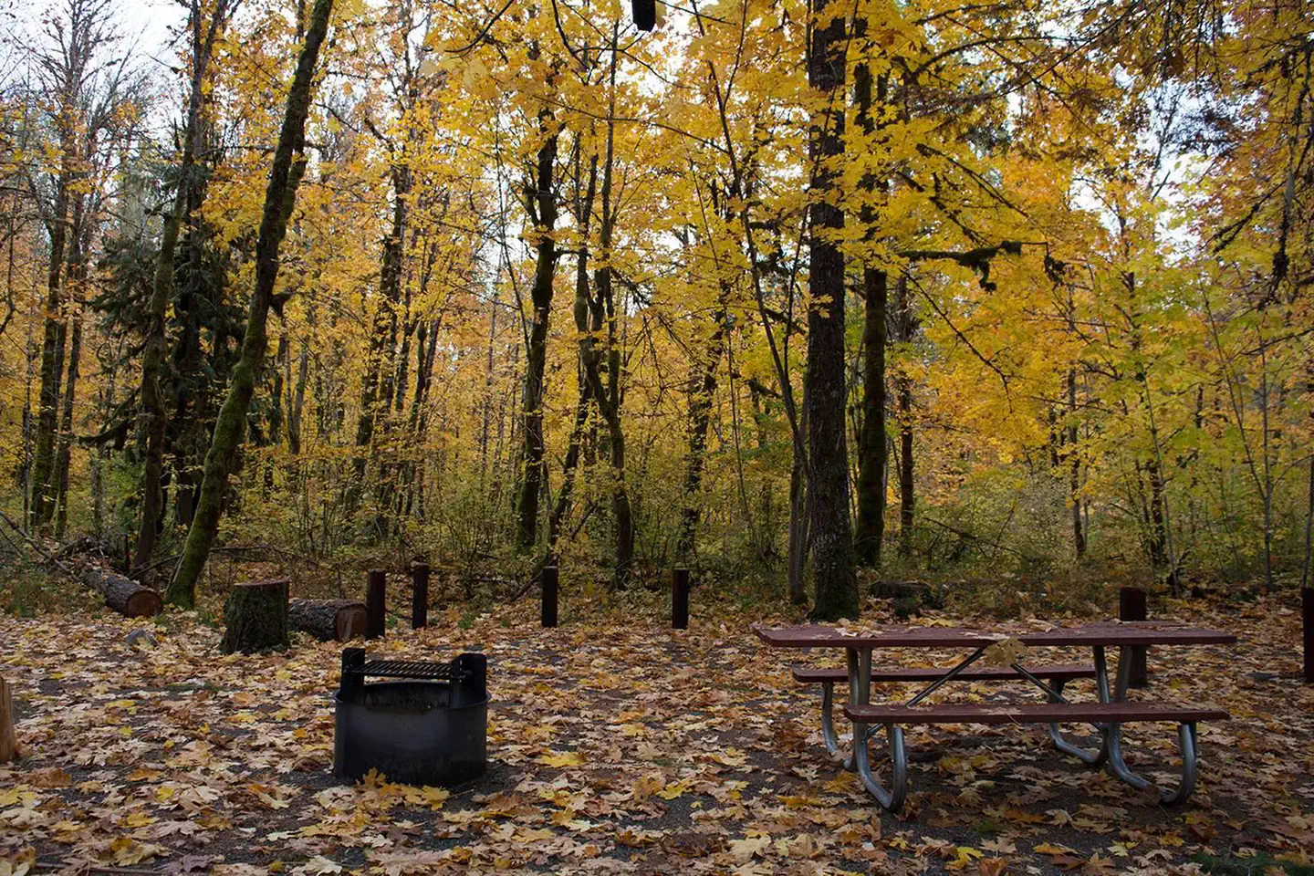 Beaver Campground photo 3