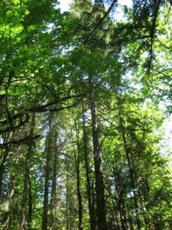 Beaver Campground photo 5