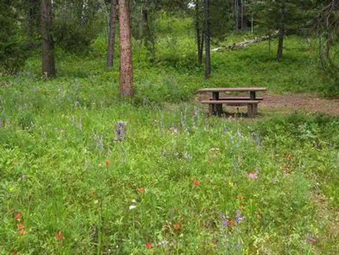 BEAVER CREEK CAMPGROUND photo 3